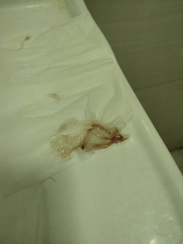 journal_insert_pic_1689078532