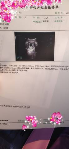 journal_insert_pic_1676753106