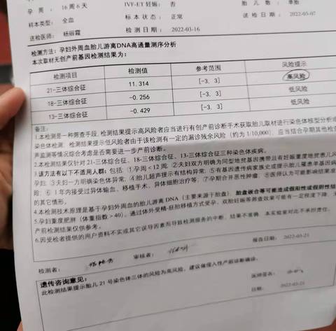 journal_insert_pic_1741056830