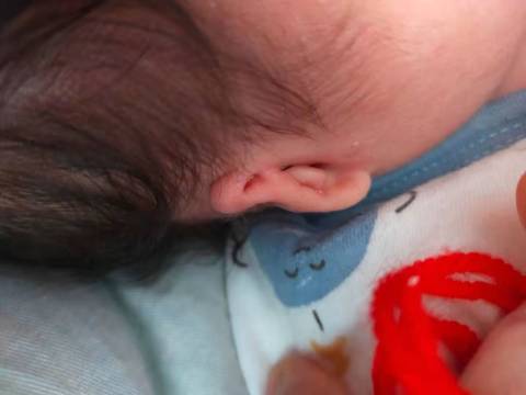 journal_insert_pic_1677385586