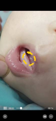 journal_insert_pic_1682089522