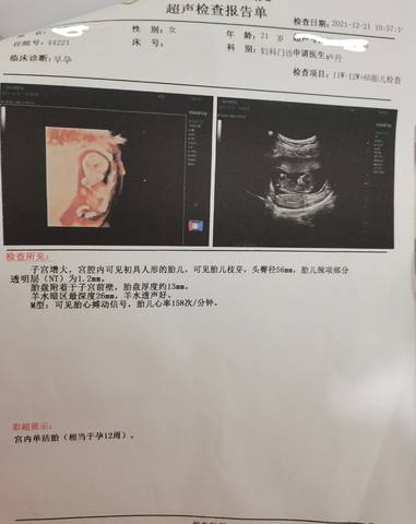 journal_insert_pic_1684868903
