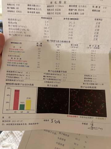 journal_insert_pic_1686703267