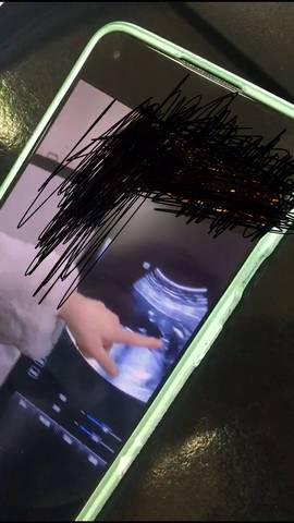 journal_insert_pic_1684853728