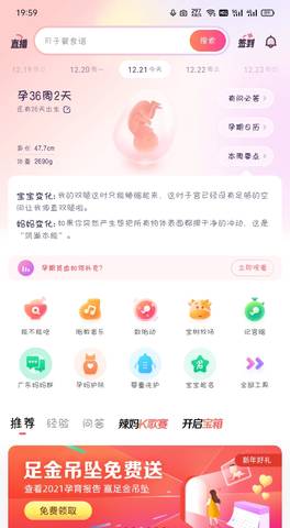 journal_insert_pic_1684375585