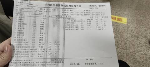journal_insert_pic_1682936857