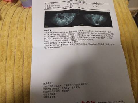 journal_insert_pic_1681615347