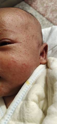 journal_insert_pic_1683546684