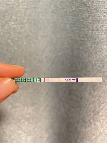 journal_insert_pic_1673092576