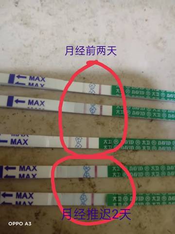 journal_insert_pic_1719566837