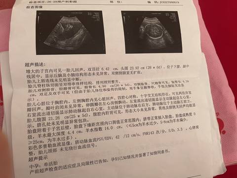 journal_insert_pic_1675493375