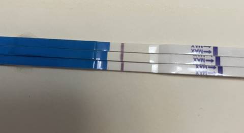 journal_insert_pic_1683233749