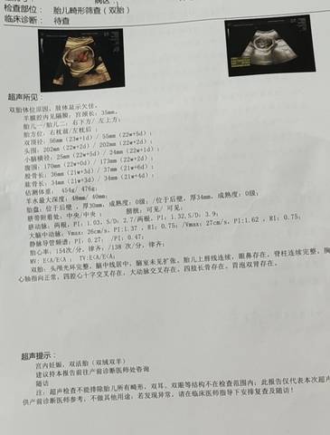 journal_insert_pic_1741164903