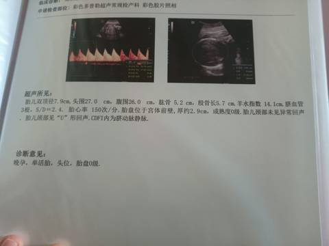 journal_insert_pic_1686527686