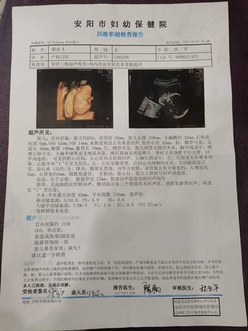 journal_insert_pic_1674538839
