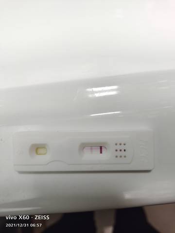 journal_insert_pic_1689328404