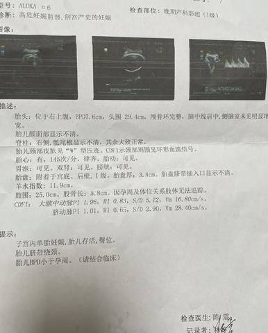 journal_insert_pic_1686168782