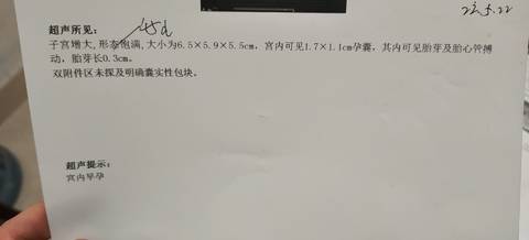 journal_insert_pic_1688499986