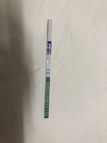 journal_insert_pic_1719782177