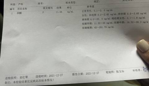 journal_insert_pic_1687201912