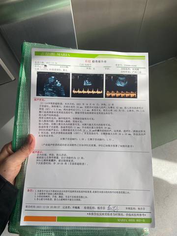 journal_insert_pic_1685261289