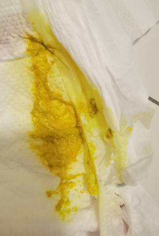 journal_insert_pic_1683482949