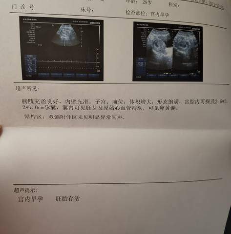 journal_insert_pic_1681894421