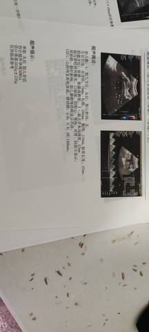 journal_insert_pic_1681135222