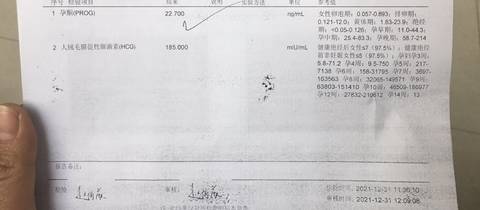 journal_insert_pic_1690575384