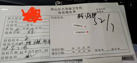 journal_insert_pic_1685292162