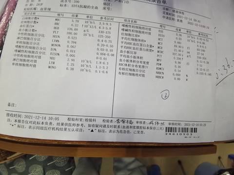 journal_insert_pic_1679873743