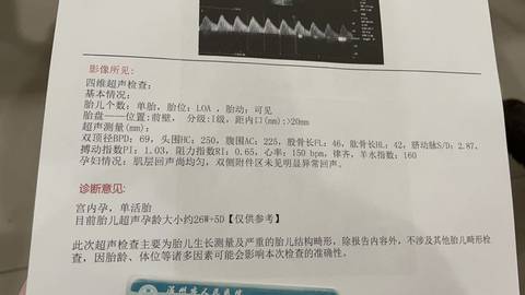 journal_insert_pic_1677072090