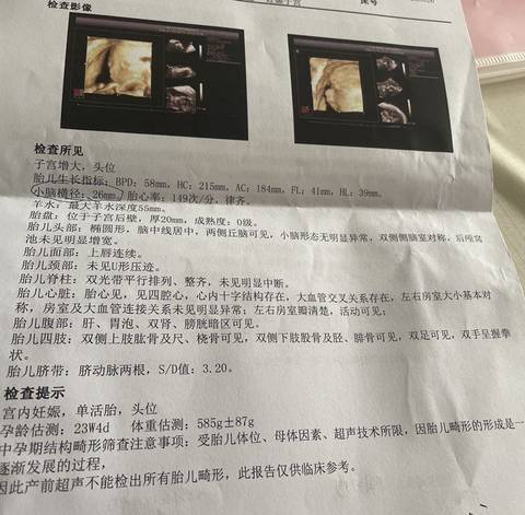 journal_insert_pic_1676145217