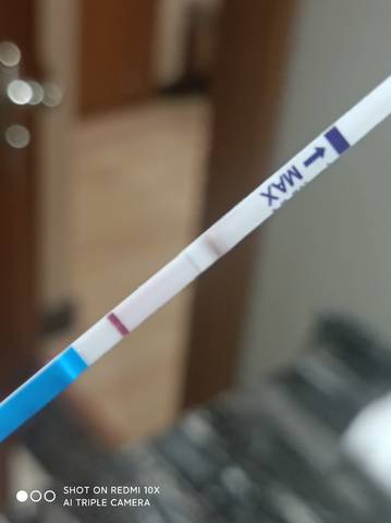 journal_insert_pic_1719922230