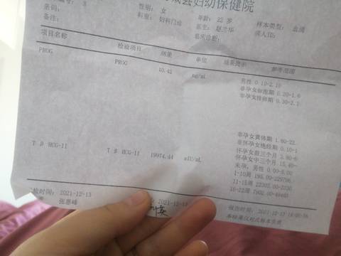 journal_insert_pic_1686962921