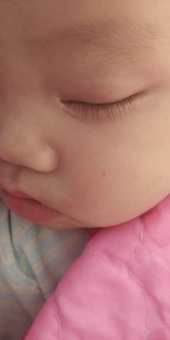 journal_insert_pic_1681082080