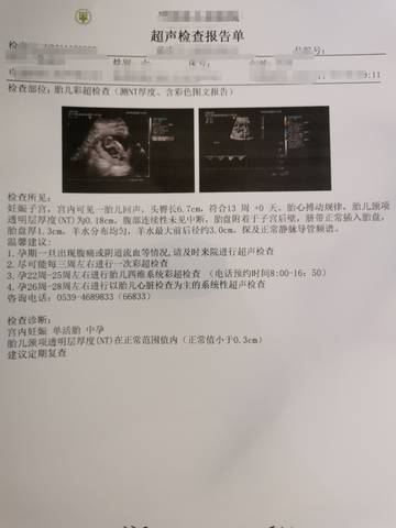 journal_insert_pic_1677680113