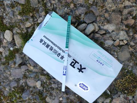 journal_insert_pic_1675889806