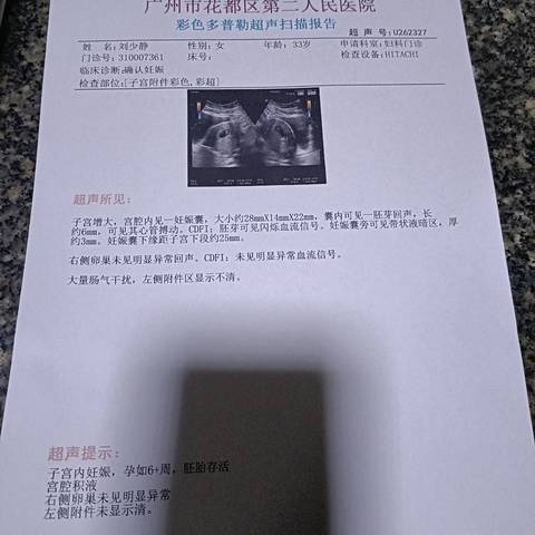 journal_insert_pic_1684313946