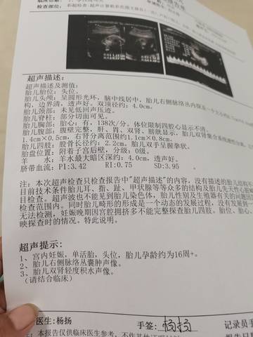 journal_insert_pic_1682993574