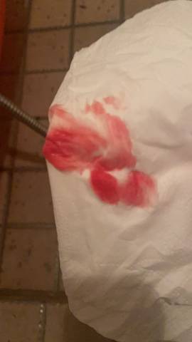 journal_insert_pic_1689663156