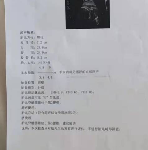 journal_insert_pic_1688421480