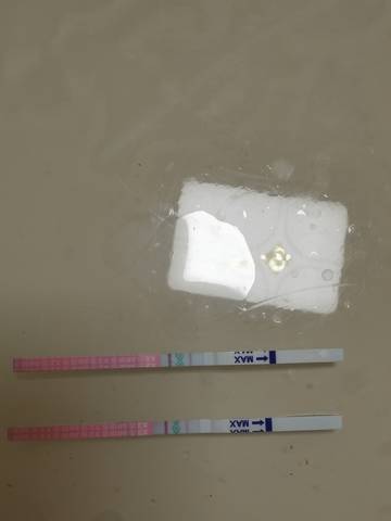 journal_insert_pic_1678657591