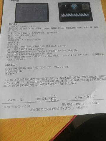 journal_insert_pic_1688872886