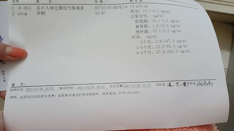 journal_insert_pic_1686425380