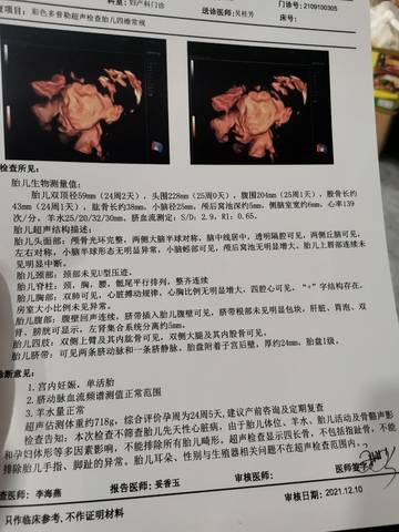 journal_insert_pic_1677977929