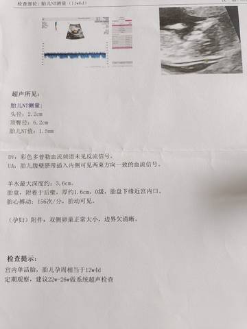 journal_insert_pic_1676041642