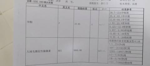 journal_insert_pic_1686602228