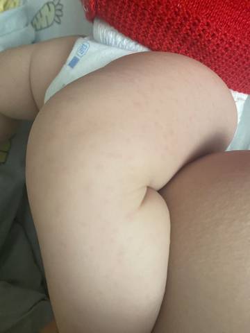 journal_insert_pic_1690567500