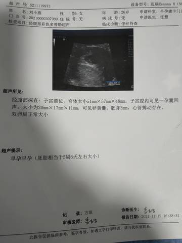 journal_insert_pic_1674940071